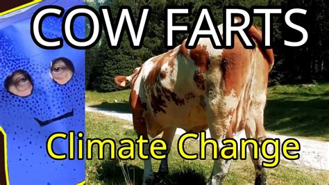 cow farts are fake